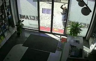 Parke taşıyla eczanenin camını kırdı, ayçiçeği...