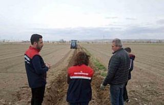 Patates ekimi sezonu başladı