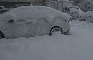 Patnos’ta baharı beklerken 40 santimetre kar yağdı