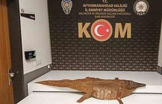 Polis durdurduğu araçta timsah derisi ele geçirdi