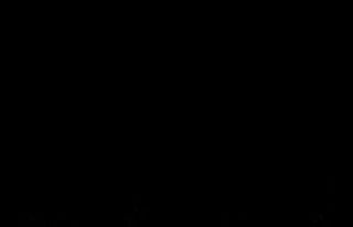 Safranbolu’da boz ayı fotokapanla görüntülendi