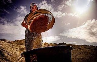 Salihli’de "Hayatın İçinden Kadın Fotoğrafları"...