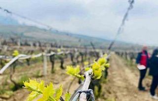 Salihli’de yağışlar Ölükol riskini artırdı