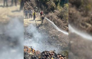 Samandağ’da bahçede çıkan yangın büyümeden...