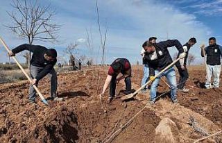 Şanlıurfa Büyükşehir Belediyesi’nden 20 bin...