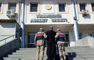 Şanlıurfa’da 12 yıl hapis cezası bulunan firari...