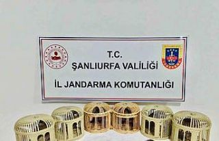 Şanlıurfa’da kaçak keklik avcıları suçüstü...