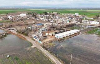 Şanlıurfa’da şiddetli yağışlar tarlaları...