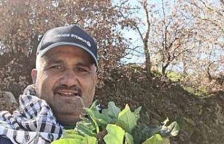 Sarıgöl’de baharın habercisi ekşi kulak tezgahlarda...