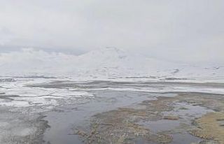 Sarısu sazlıkları ile Süphan Dağı’nın karlı...