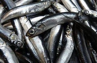 Savaş halindeki ülke ihracatta ilk sırayı aldı