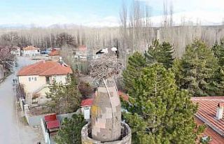 Şıhbarak mahallesinde baharın müjdecisi leylekler...