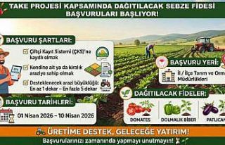 Siirt Tarım ve Orman Müdürlüğünden sebze fidesi...