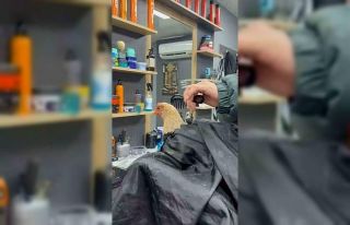 Siirt’te bir kuaför sosyal medya akımına katılmak...