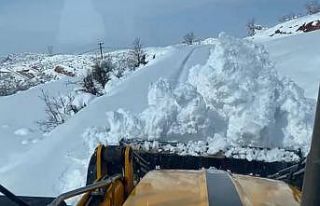 Siirt’te kardan kapanan 120 köy yolunun 105’i...