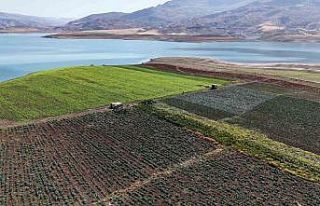 Siirt’te su tahliyesi uyarısı