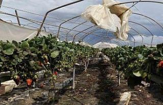 Silifke’de hortum seraları yerle bir etti