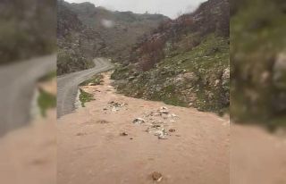 Silvan’da sağanak taşkınlara neden oldu