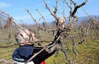 Simav’da yem bitkileri ve hububat ekili alanlarda...