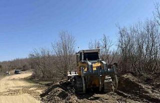 Sinop’a yeni orman nakliye güzergahı