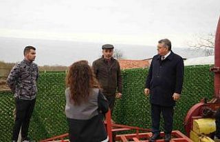 Sinop’ta hayvancılıkta kalite artıyor