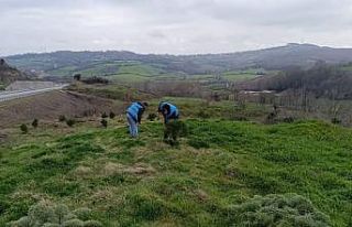 Sinop’ta yükümlülerden geleceğe nefes