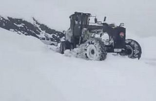 Şırnak’ta ekiplerin kar mesaisi