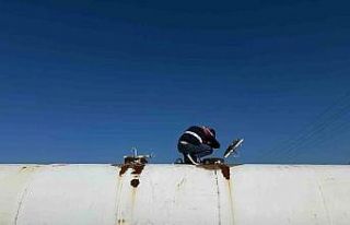 Şırnak’ta jandarmadan kaçakçılık operasyonu:...