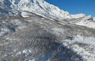 Şırnak’ta kar sonrası dağlar beyaza büründü