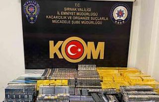 Şırnak’ta narkotik, kaçakçılık ve asayiş...