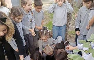 Söke’de Orman Haftası’nda fidanlar gelecek için...