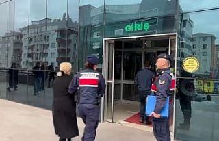 Sosyal medya dolandırıcıları yakalandı