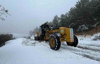 Spil Dağı Milli Parkında kar mesaisi