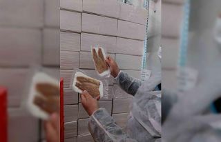 Su ürünleri üretimi yapılan tesislerde denetim