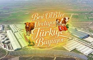 Suluova Besi OTB’de 15 bin 650 büyükbaş kapasite,...