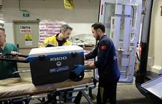 Taciz mağduru genç kızın bağışlanan organları...