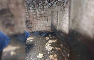 Tarsus’ta ahıra yıldırım düştü: 5 küçükbaş...