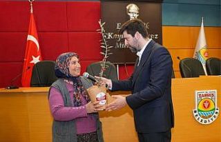 Tarsus’ta zeytinyağında kalite yarışması düzenlendi