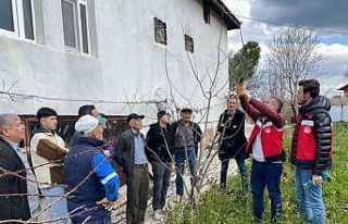 Tavşanlı’da meyve üreticilerine budama eğitimi