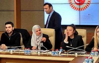 TBMM Suça Sürüklenen Çocuklara İlişkin Araştırma...