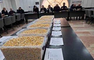 TİGEM’in 13,5 bin tonluk mısır satışı GTB’de...