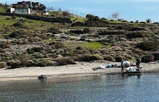 Tilkişen otu toplamaya gittiler, koyu temizlediler