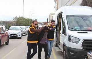 Trafik magandası baba-oğul tutuklandı