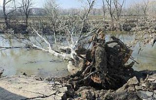 Tunca Nehri kıyısında toprak kayması: 9 yıl sonra...