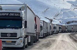 Türkiye-İran sınır kapısında 2 kilometrelik...