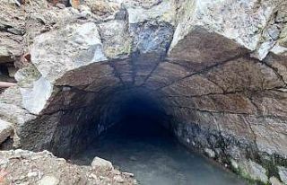 Türkiye’de bir örneği daha yok; Trabzon’da...