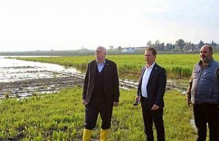 TZOB Genel Başkanı Bayraktar: "Üreticilerimize...