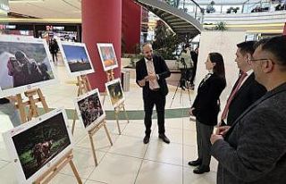 "Uluslararası Tarım, Orman ve İnsan Fotoğraf...