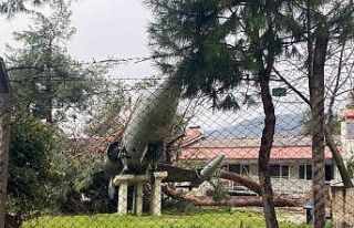 Üzerine ağaç düşen uçak zarar gördü
