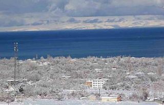 Van Gölü Havzası’nda 2026 su ihtiyacı büyük...